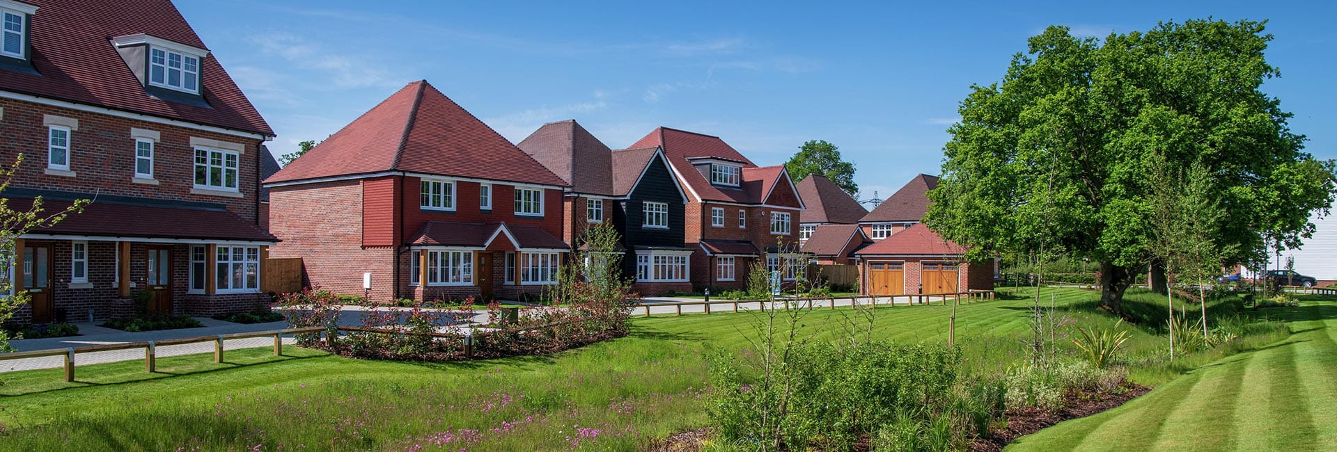 Berkeley, Easy Move, Header