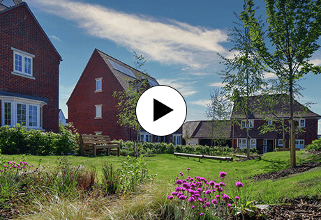 Berkeley, Bring Nature Home, Episode 1