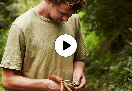 Berkeley, Bring Nature Home, Episode 2