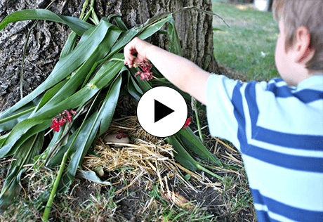 Berkeley, Bring Nature Home, Episode 4