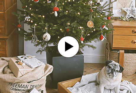 Berkeley, Bring Nature Home, Episode 6