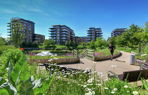 Berkeley, Why Rent When You Can Buy, Kidbrooke Village