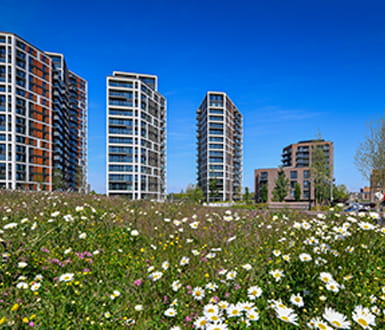 Our Vision, Climate Action, Resilience