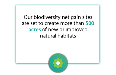 Biodiversity Net Gain