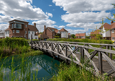 Our Vision - Nature - Sustainable Housebuilder