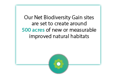 Our Net Biodiversity Gain sites are set to create around 500 acres of new or measurable improved natural habitats