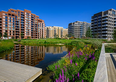 An exterior photograph of the green space at Lombard Square
