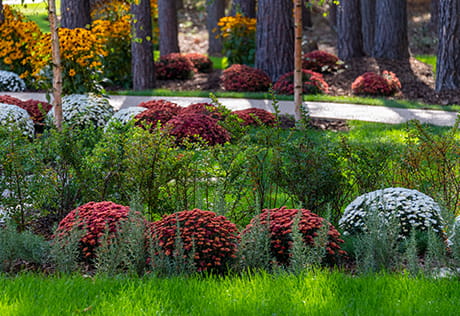 Sustainability at Berkeley Group