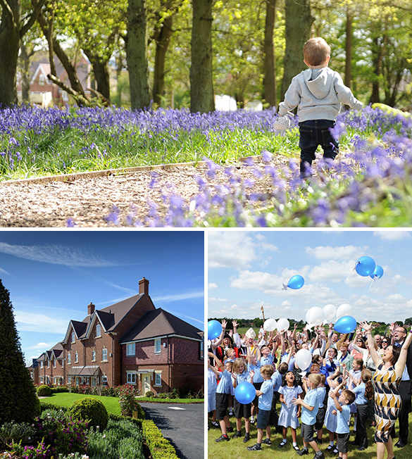 Sustainability, Case Studies, Woodhurst Park