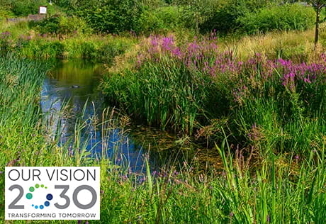 An image of a pond and grassland with the Our Vision 2030 logo