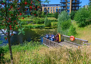 Navigation, Sustainability, Thumbnail