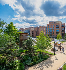 Green Spaces at Clarendon