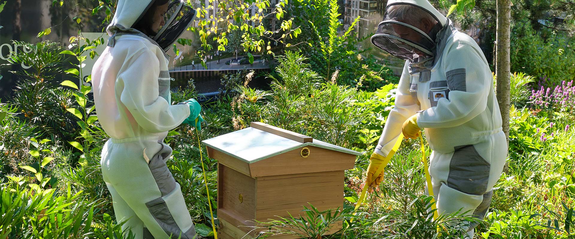 Berkeley Group, Case Studies, Grand Union, On-site Beehive