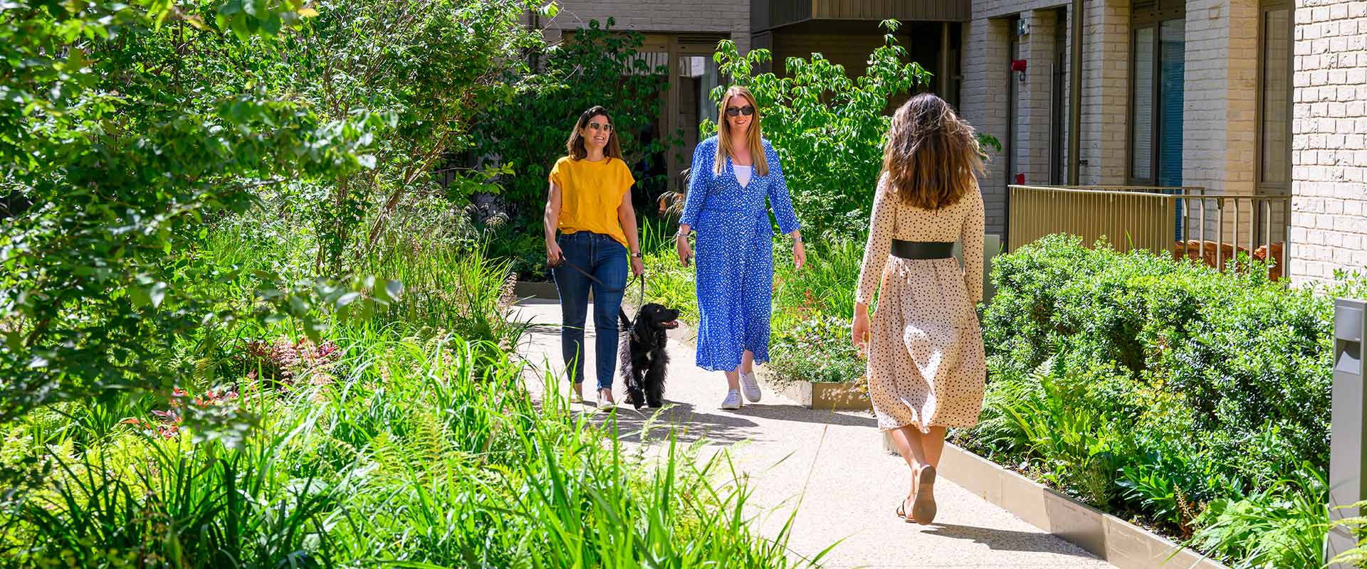 An Image of Greenery at Oval Village