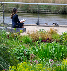 Brownfield regeneration project 