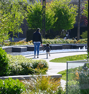 Case Studies - White City Living - Biodiverse Landscape