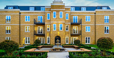 About Us, Who We Are, Our Board