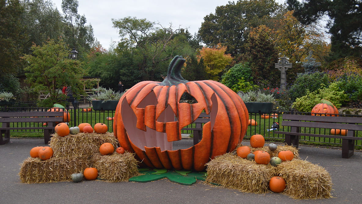 Halloween display at Chessington World of Adventures.