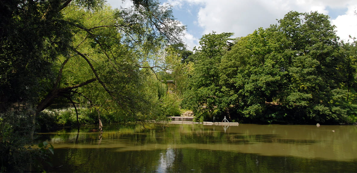 Crystal Palace Park, at Forest Hill Central, a development by Berkeley Group.