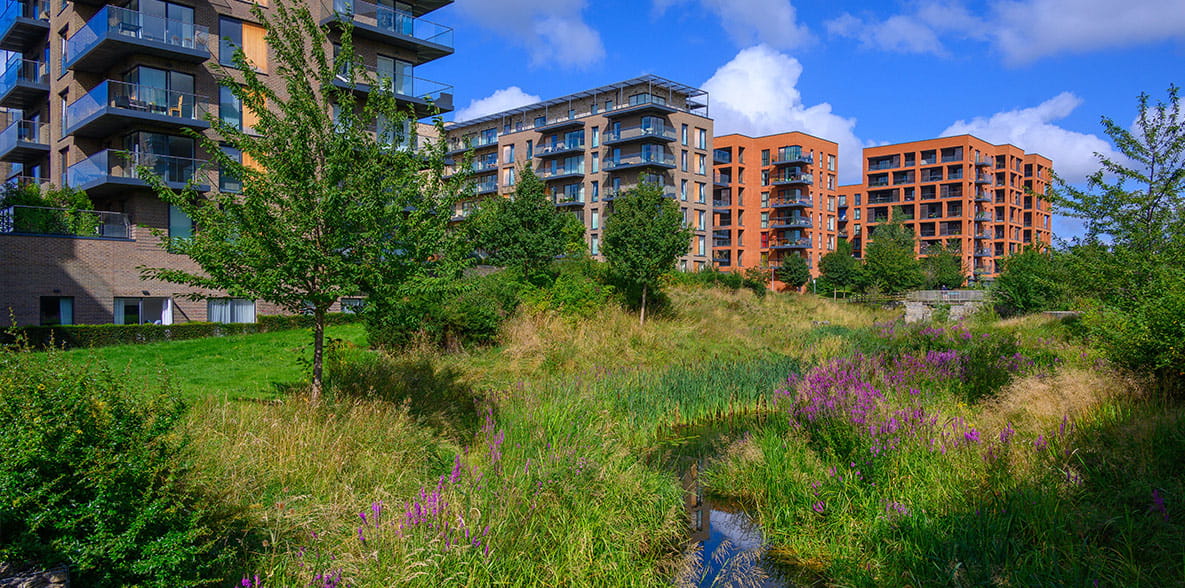 Berkeley Inspiration - 5 Benefits of Buying a New Build Home - Community