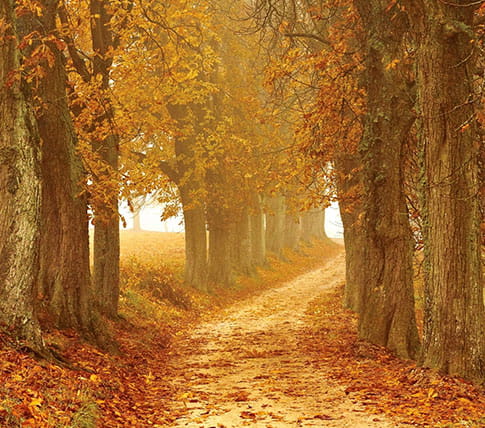 5 Excellent Walks Across Kent, Elham Valley Way | Inspiration