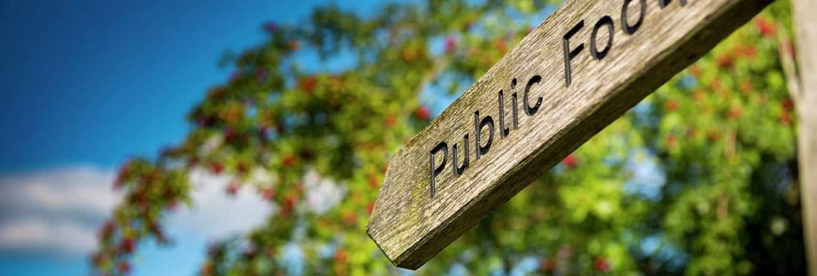 A ‘Public Footpath’ signpost in front of a tree, directing the way on a walking route in Oxted. 