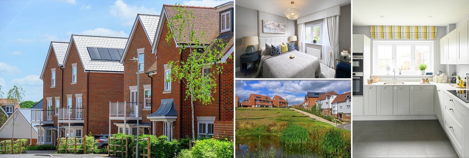 A Spotlight on Hollyfields Header Image