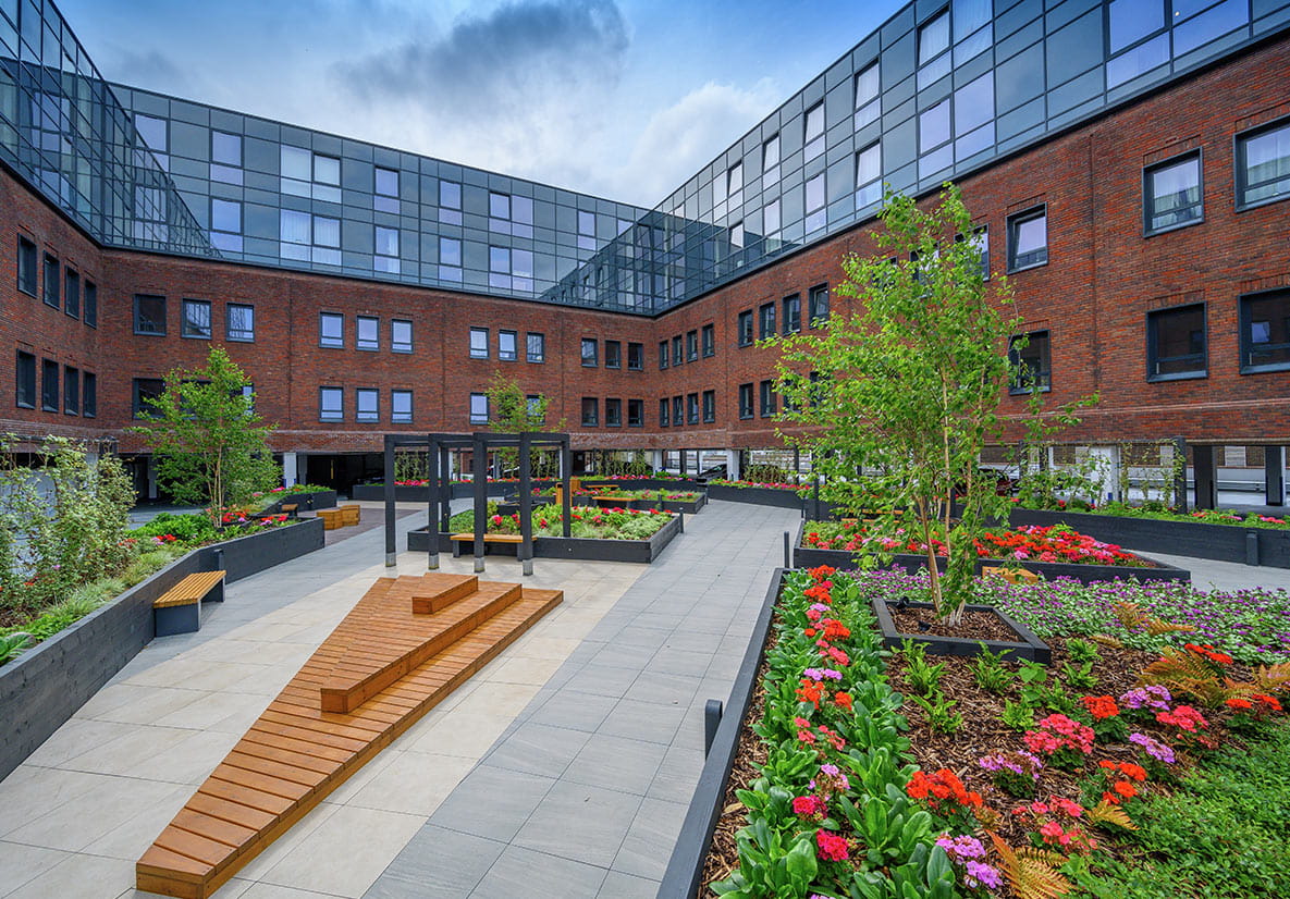 Inspiration, A Spotlight on Lumina, Greener Living