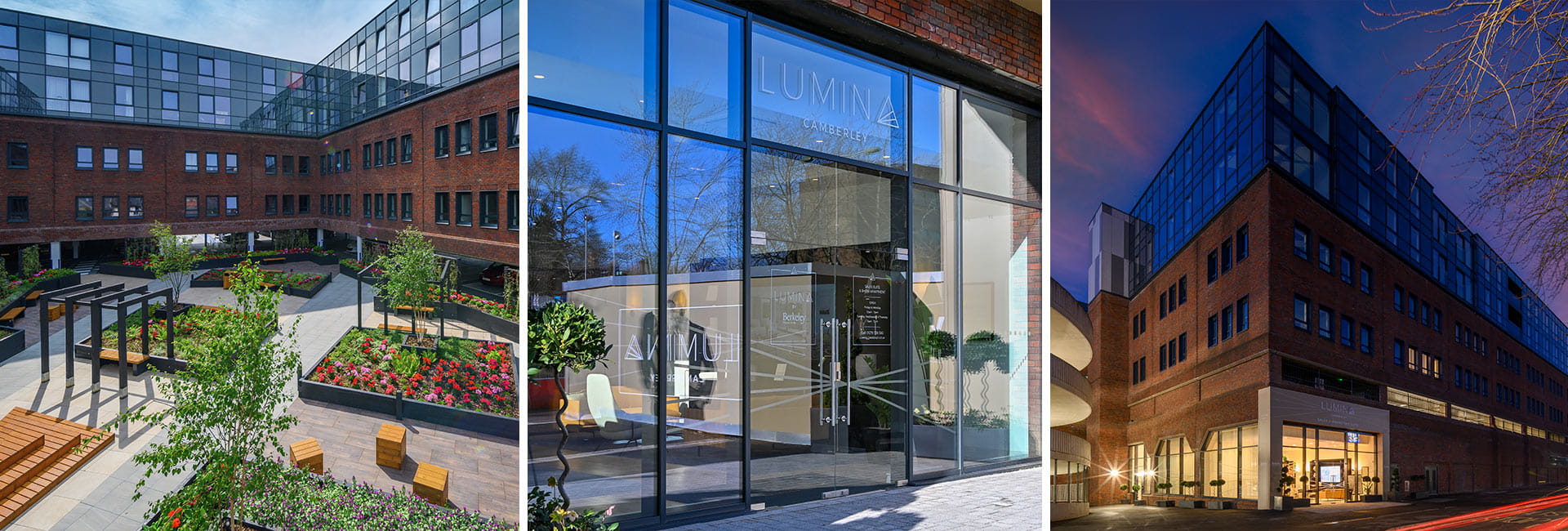 Inspiration, A Spotlight on Lumina, Header