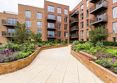 A Spotlight On: The Arches