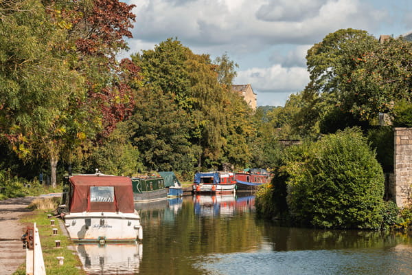 Tranquil river with boats on the side, water reflecting the lush green, overhanging trees 