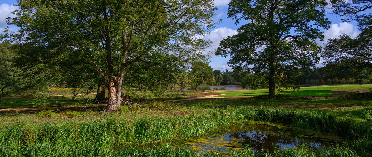 Exterior image of Trent Park