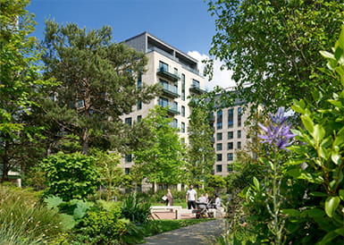 Welcome to Our Nature-Led Neighbourhoods