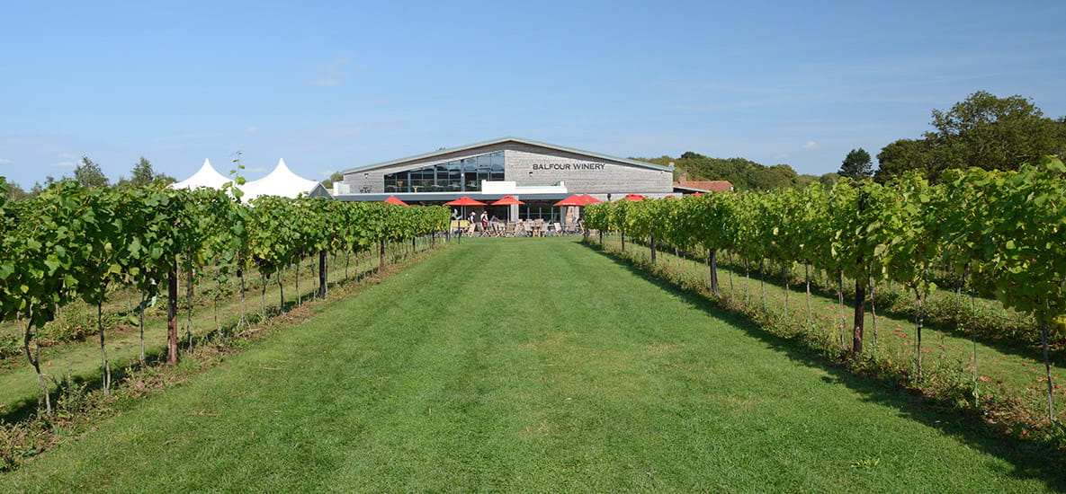 Picture of Balfour Winery at Hush Heather Estate