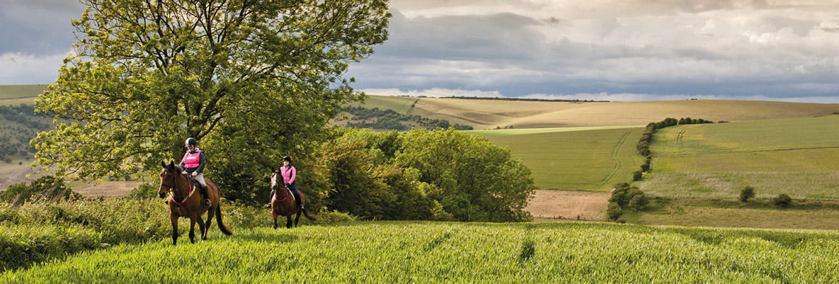 The rolling hills of the South Downs. Two horse riders trek through the closest field on their horses.