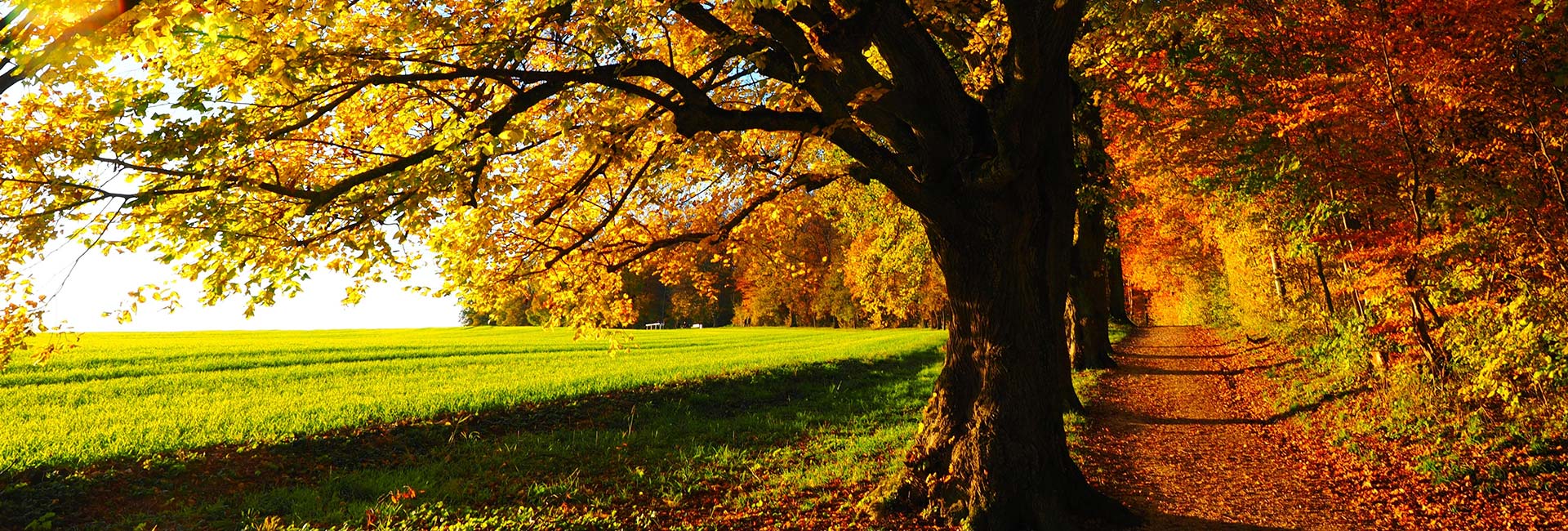 Britain's Most Beautiful Autumn Walks