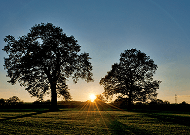 Celebrate Jane Austen Regency Week in Hampshire