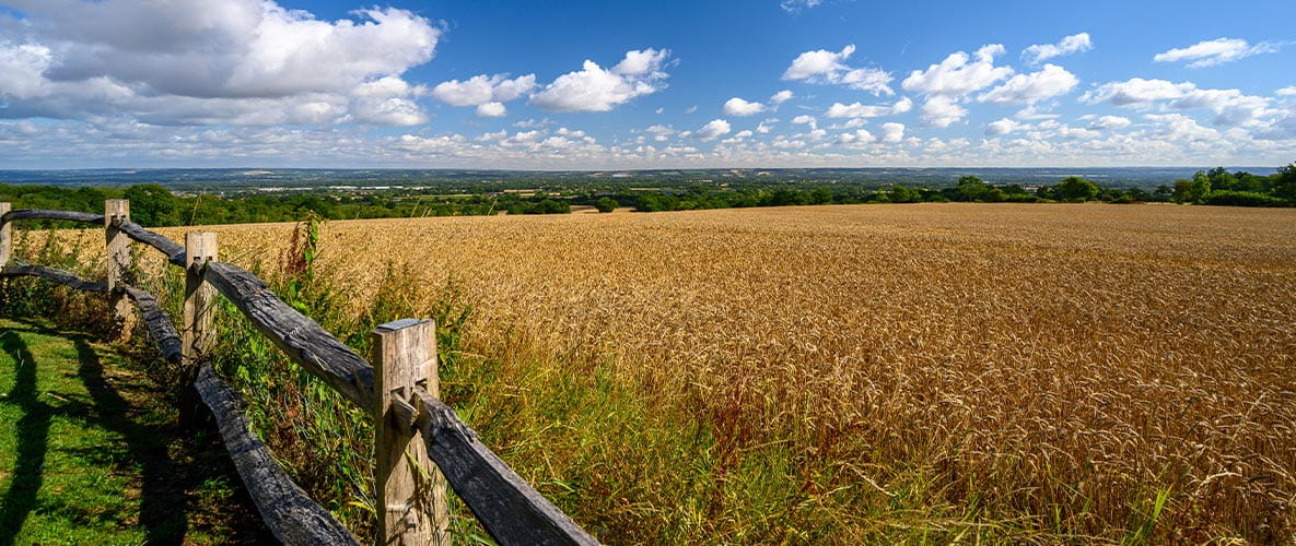 Benefits of Country Life