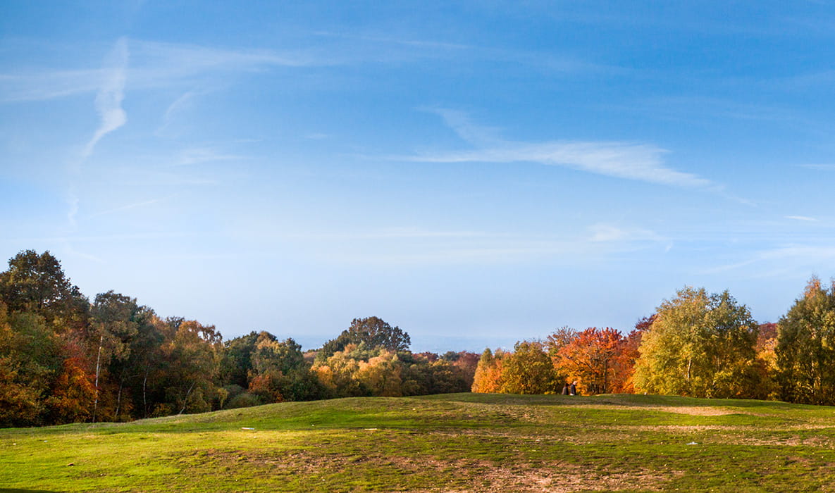 Countryside Walks With Your Dog, Essex | Berkeley Inspiration