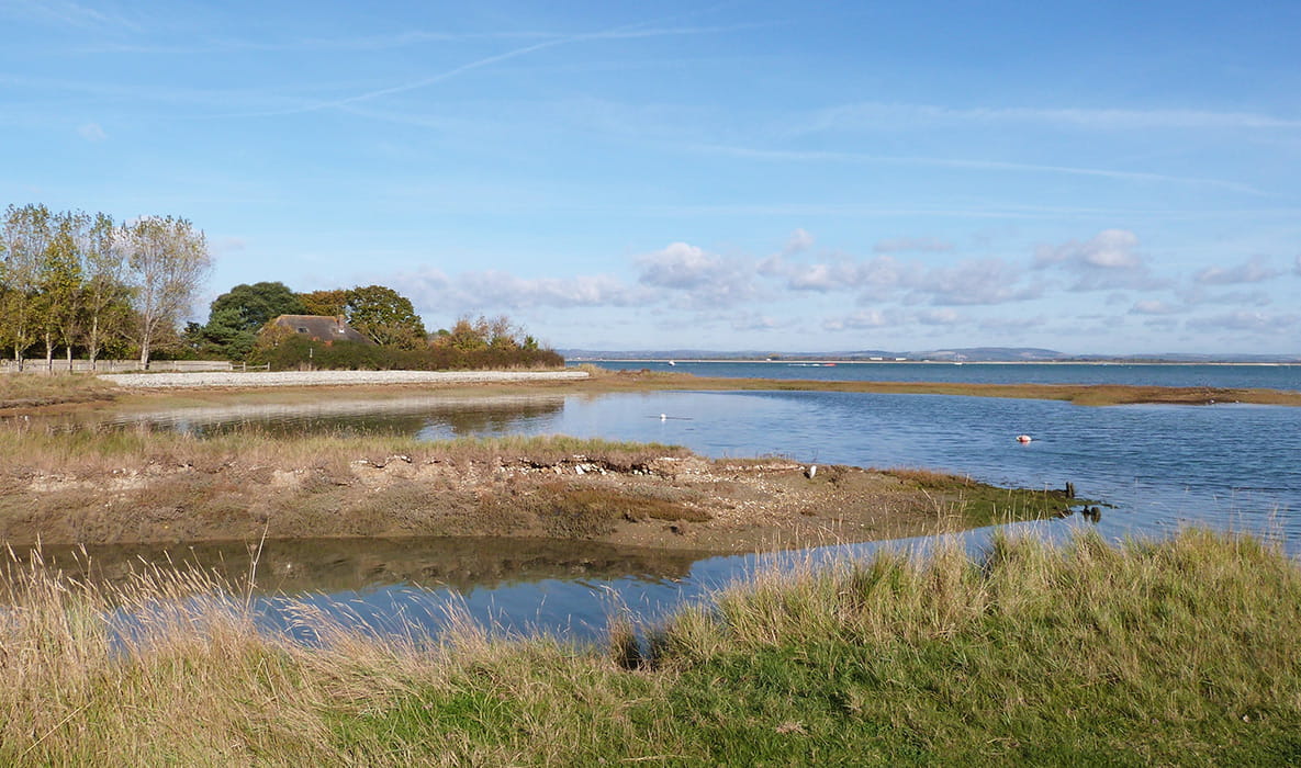 Countryside Walks With Your Dog, Hampshire| Berkeley Inspiration