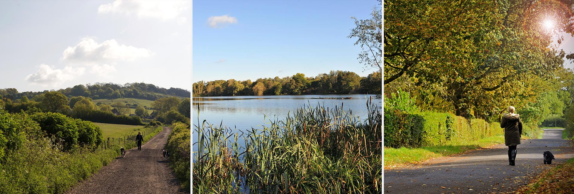 Countryside Walks With Your Dog, Header | Berkeley Inspiration