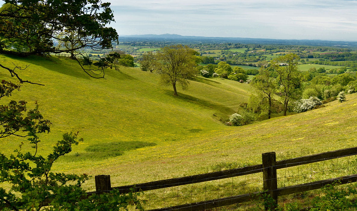 Countryside Walks With Your Dog, Worcestershire | Berkeley Inspiration