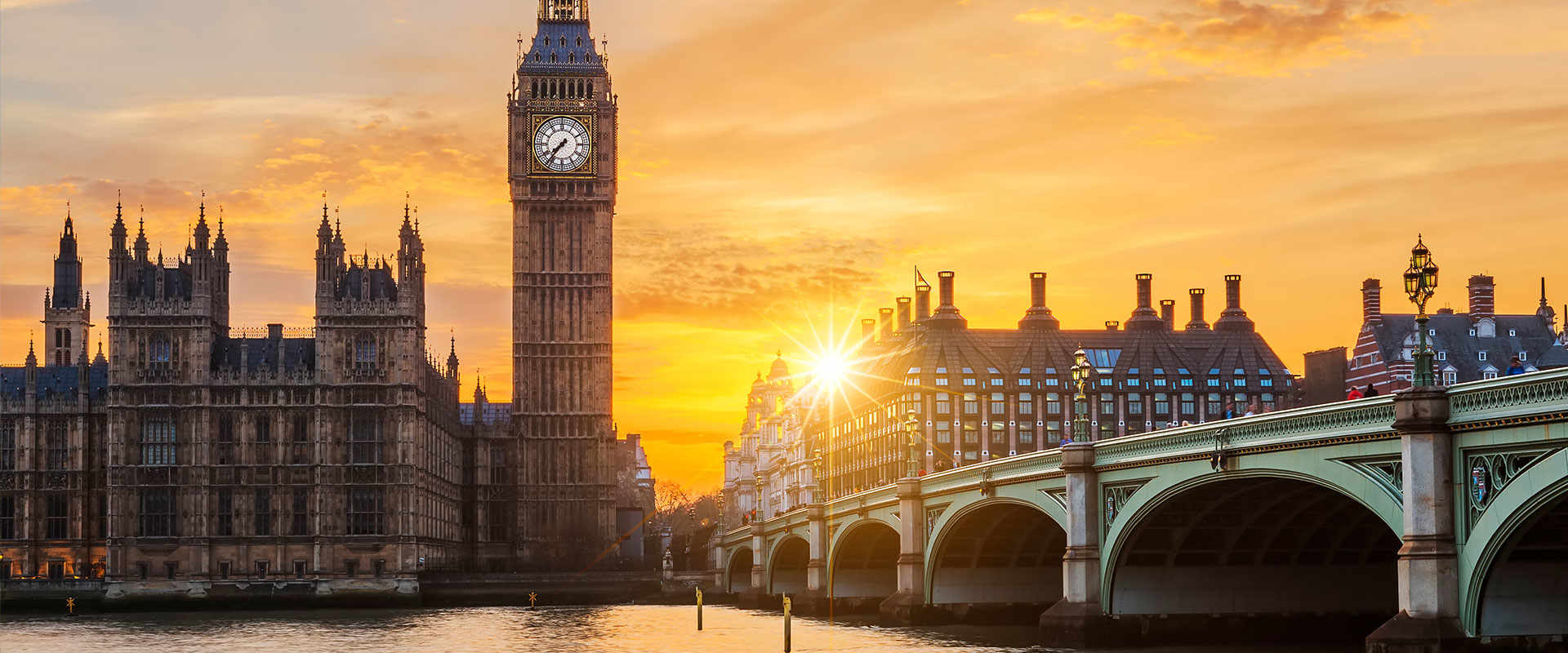 Digging up History Header