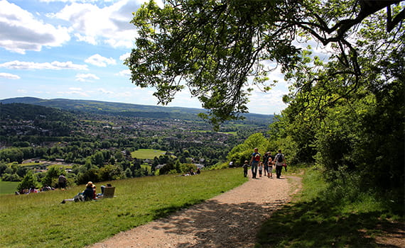 Picture of scenic views at Box Hill