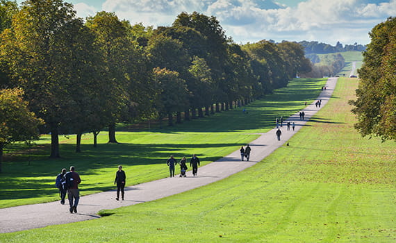 Picture of scenic views at Windsor Park