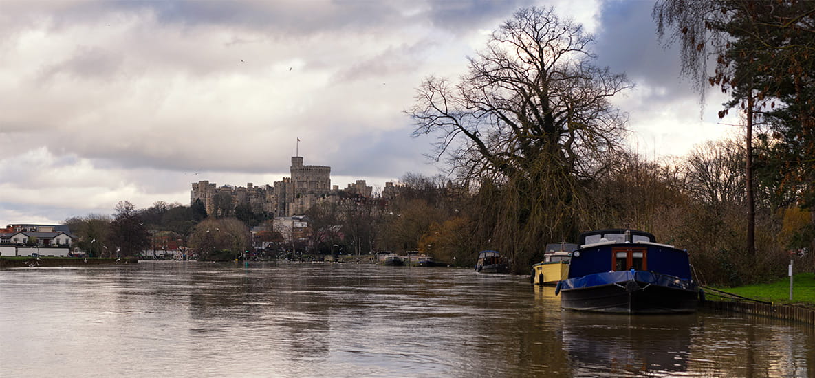 Thames Boat Cruise