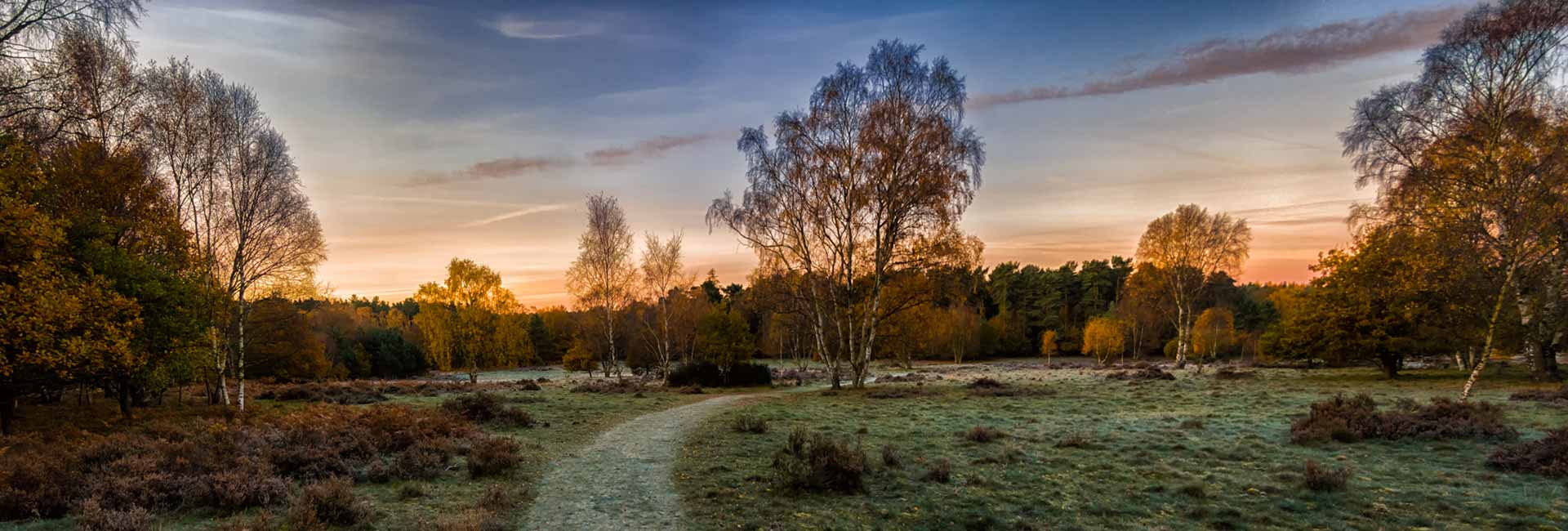 Berkeley Inspiration Family Friendly Outdoor Activities to Enjoy this Winter