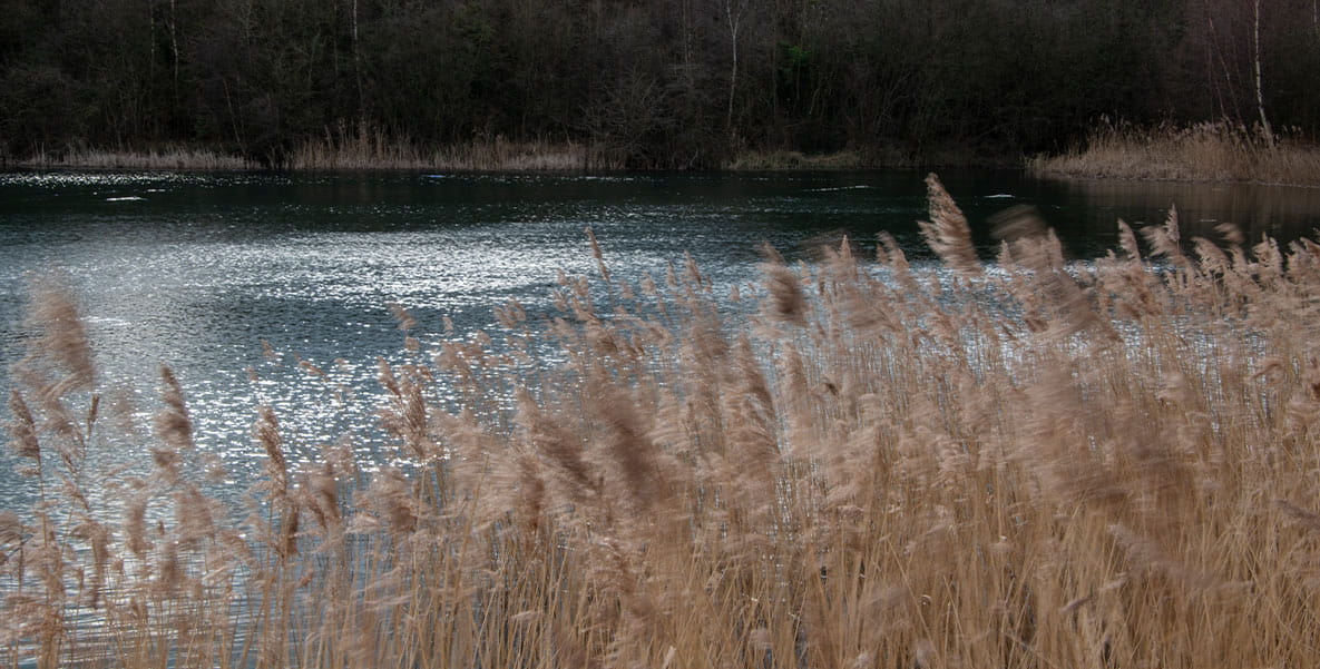 A landscape view of Holborough Lake.