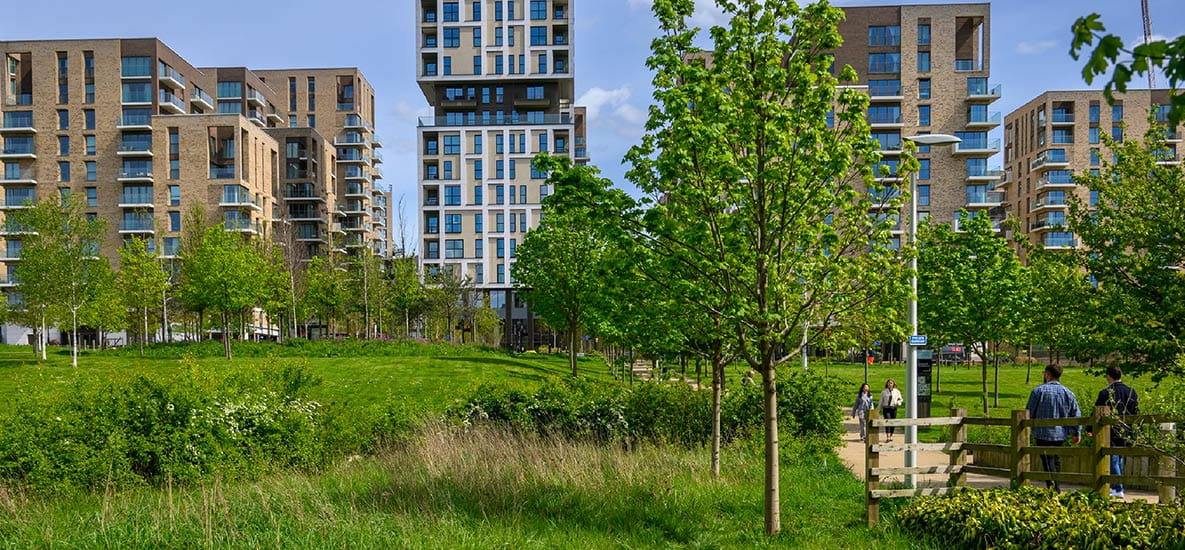 An image of the open green natural habitats surrounding a Berkeley development