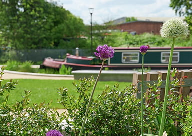 Scenic image of flowers with Barge in the background